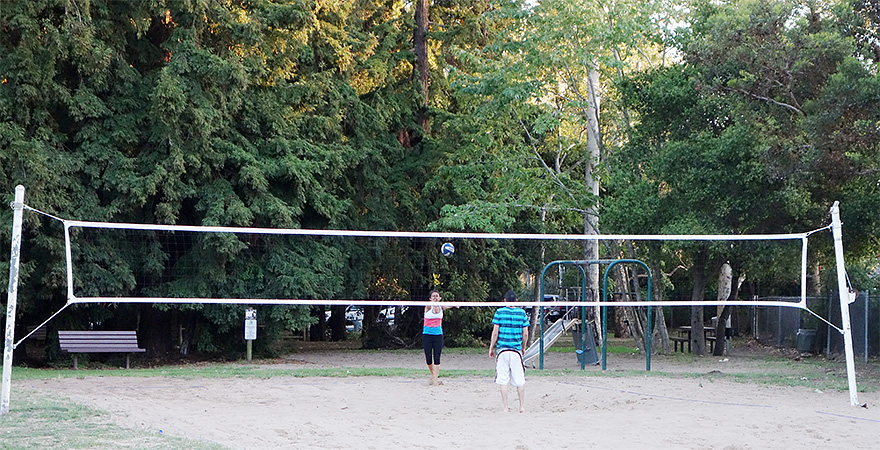 evening volleyball